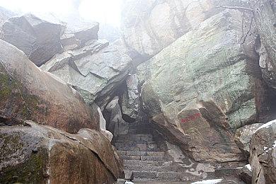 育碧宣布《孤岛惊魂5》将开启周末免费游玩活动