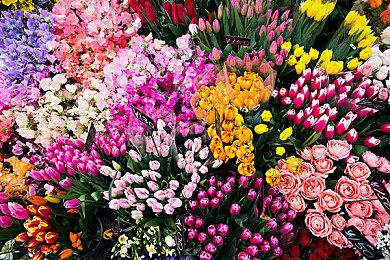 M站数据显示2023年是二十年来高分游戏最多的一年